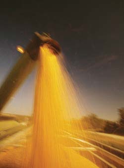 Ethanol production from corn