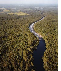 Suwannee River